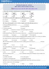 Đề thi giữa kì 2 Tiếng Anh 10 Global Success - Đề số 4
